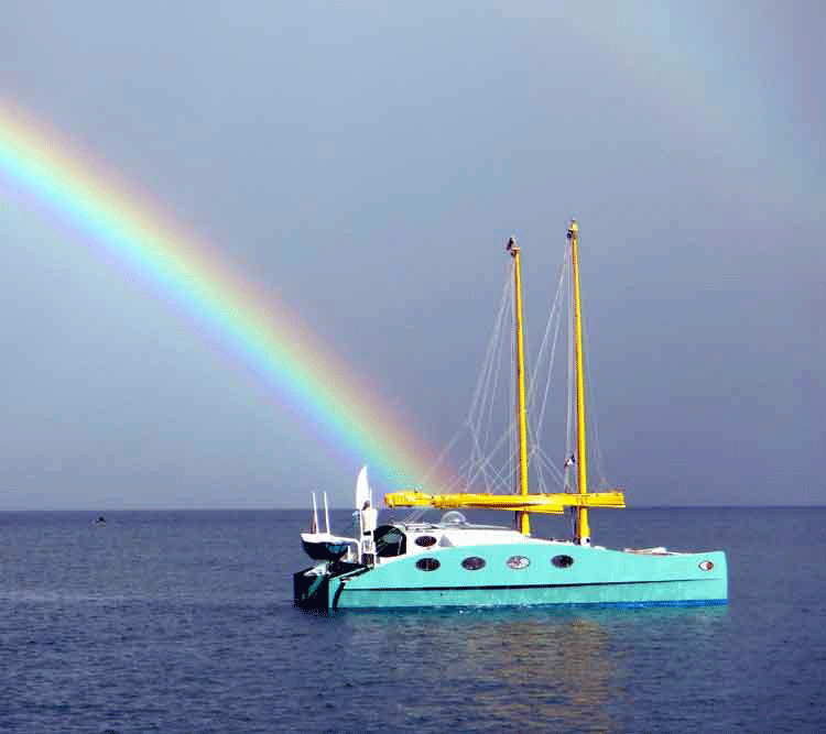 8-Oryx-3-Rainbow.gif